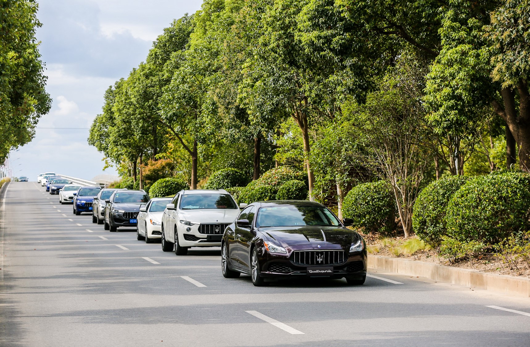 瑪莎拉蒂車隊(duì)行駛在風(fēng)景宜人的崇明